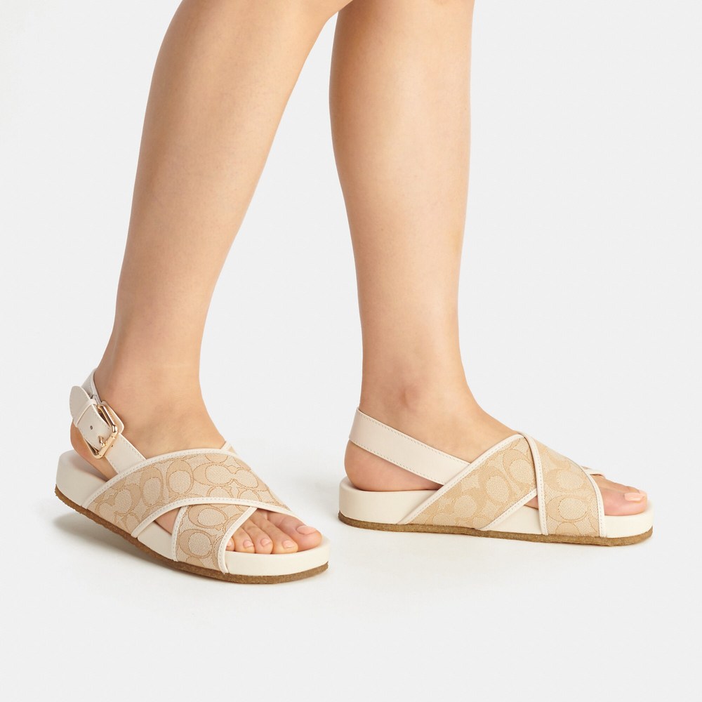 NWT Coach Outlet Adora Sandal In Signature Jacquard - Picture 6 of 6